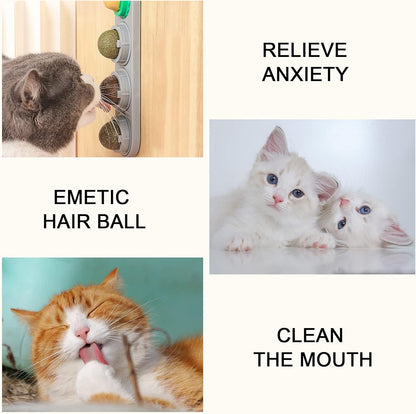 Catnip Cat Toys with 5 Candies, Catnip Wall Ball Toys for Indoor Cats, Rotatable Safe Healthy Edible Licking Balls for Kitty Playing, Kitten Chew Cleaning Teeth Treats Toys…