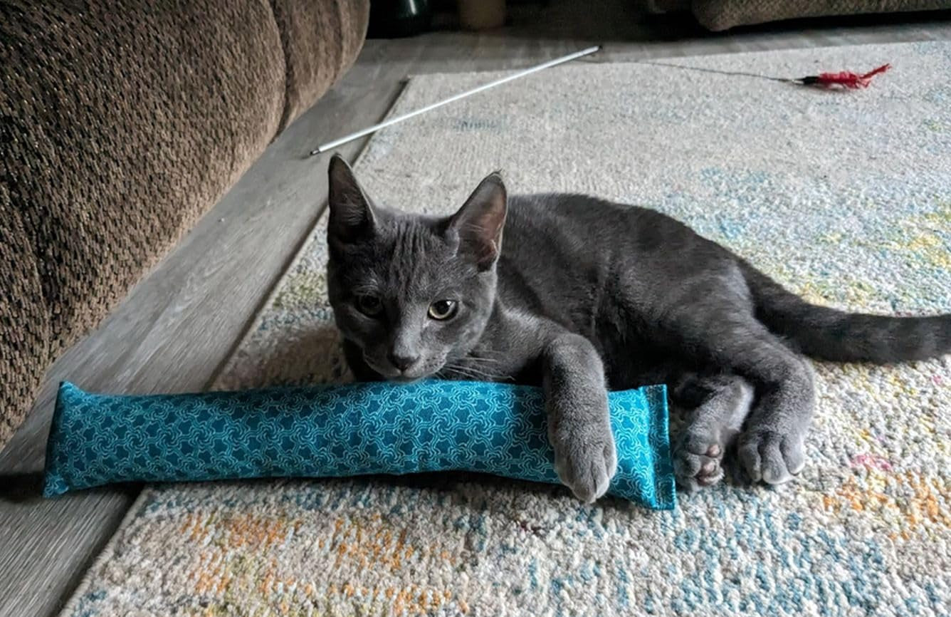 15" Catnip Cat Kicker Toys/Kitty Kick Sticks/Cat-Nip Kick Sticks (Turquoise) (Kickers Filled with 1 Oz Premium Canadian Catnip)